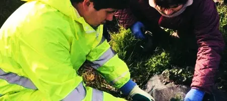 Practicas en empresas del alumnado de TVA