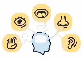 Jornada formativa sobre integración sensorial