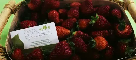 Finca El Cabillón vuelve a los Mercados