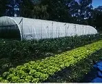Las hortalizas y frutas de temporada de Finca El Cabillón en la Feria Artenatur