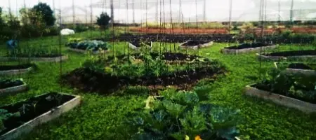 Curso “Producción hortofrutícola con certificación ecológica mediante sistemas productivos respetuosos con el medio ambiente y el clima”.