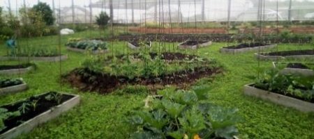 Curso “Producción hortofrutícola con certificación ecológica mediante sistemas productivos respetuosos con el medio ambiente y el clima”.
