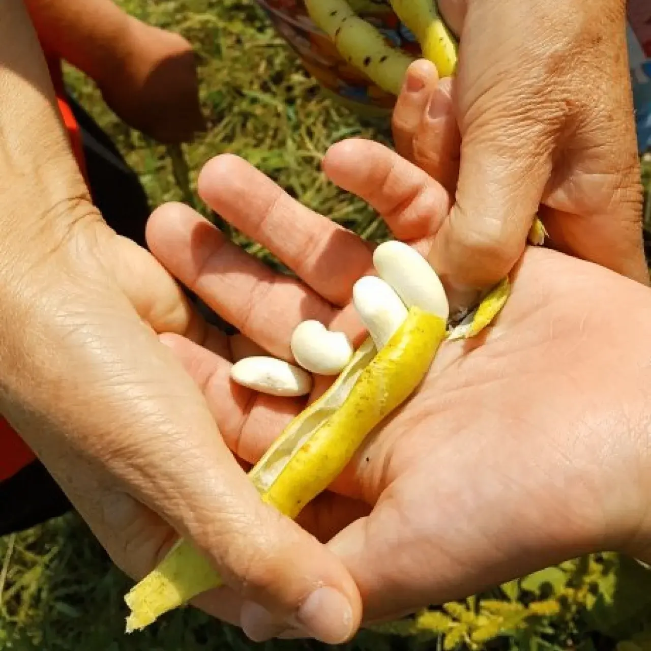 COVID 19: Más allá del protocolo 