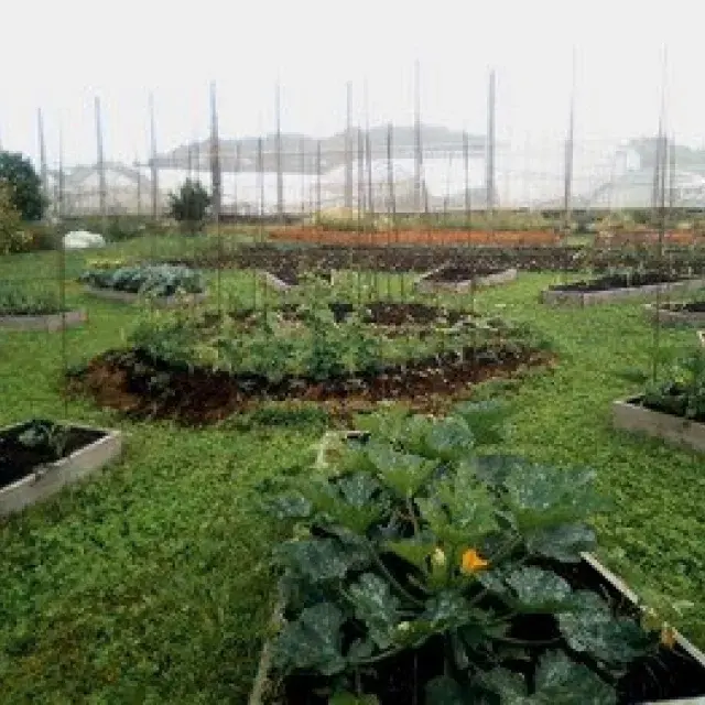 Formación sobre producción agroecológica financiada por el Ministerio de Agricultura, Pesca y Alimentación (MAPA) a través de COCEDER
