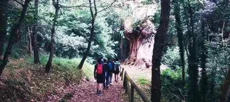 Unas actividades complementarias diferentes