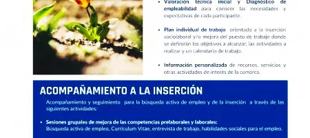 Actividades de orientación y formación para el empleo en Boal