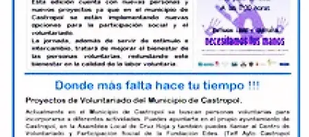 Hoja Semestral del Voluntariado