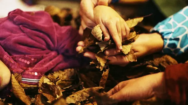 Centro de Voluntariado y Participación Social