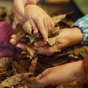 Manos de niños sosteniendo hojas secas