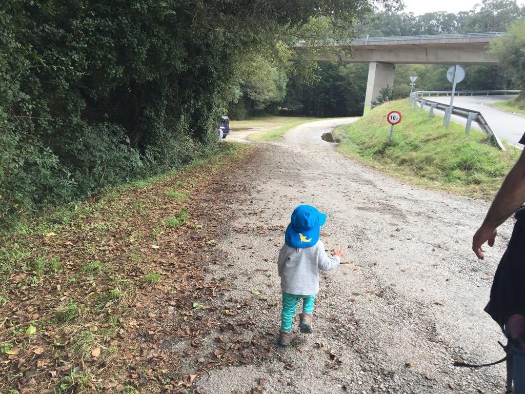 Pequeños solidarios